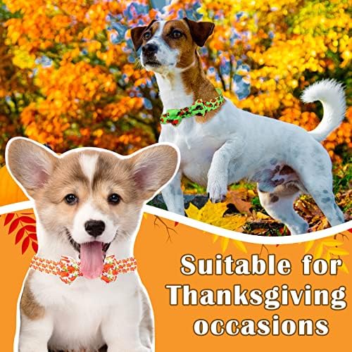 Tondiamo Csomag Őszi Hálaadás Nyakörv Nyakkendő Állítható, Gyorskioldó Őszi Sütőtök Maple Leaf Nyaralás